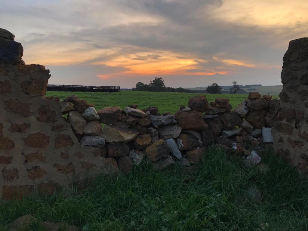 La Vista Farm Stay Ermelo Bagian luar foto