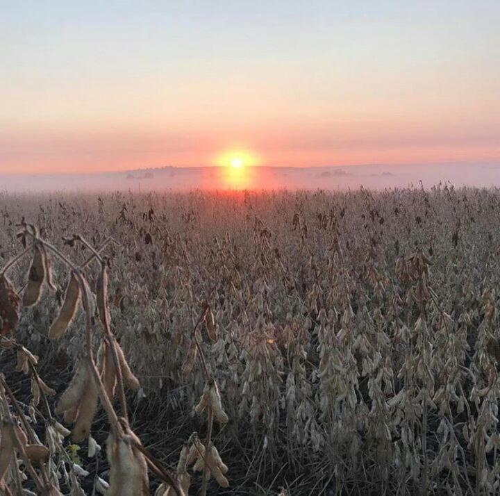 La Vista Farm Stay Ermelo Bagian luar foto