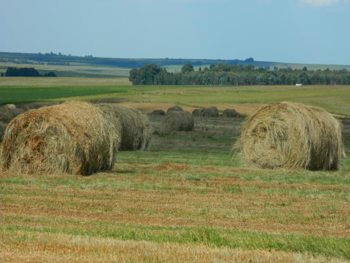 La Vista Farm Stay Ermelo Bagian luar foto